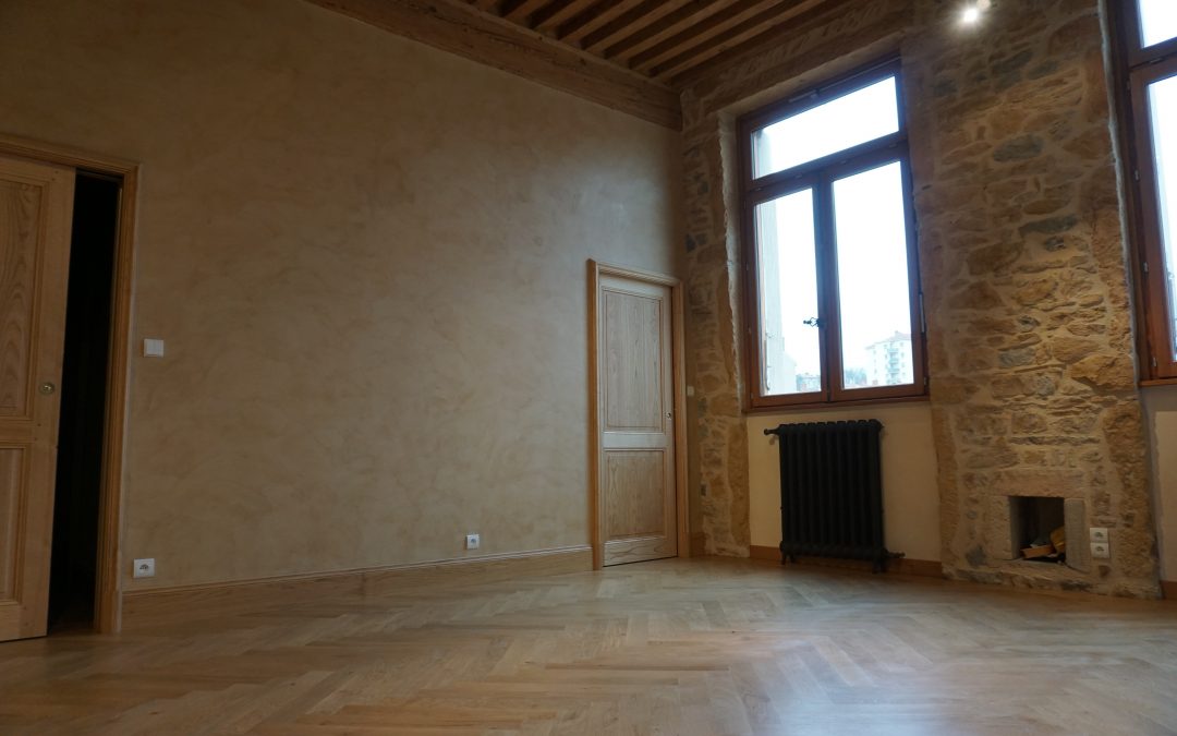 Rénovation totale d’un appartement lyonnais [Lyon, 69, Rhône, 2017]